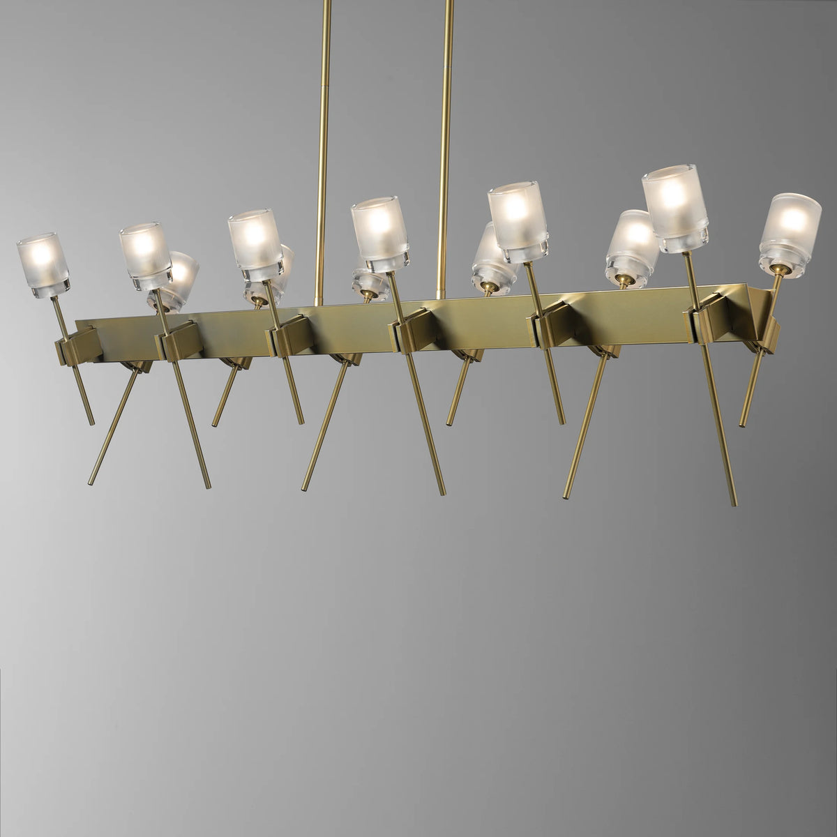 Echo 12 Light Linear Pendant