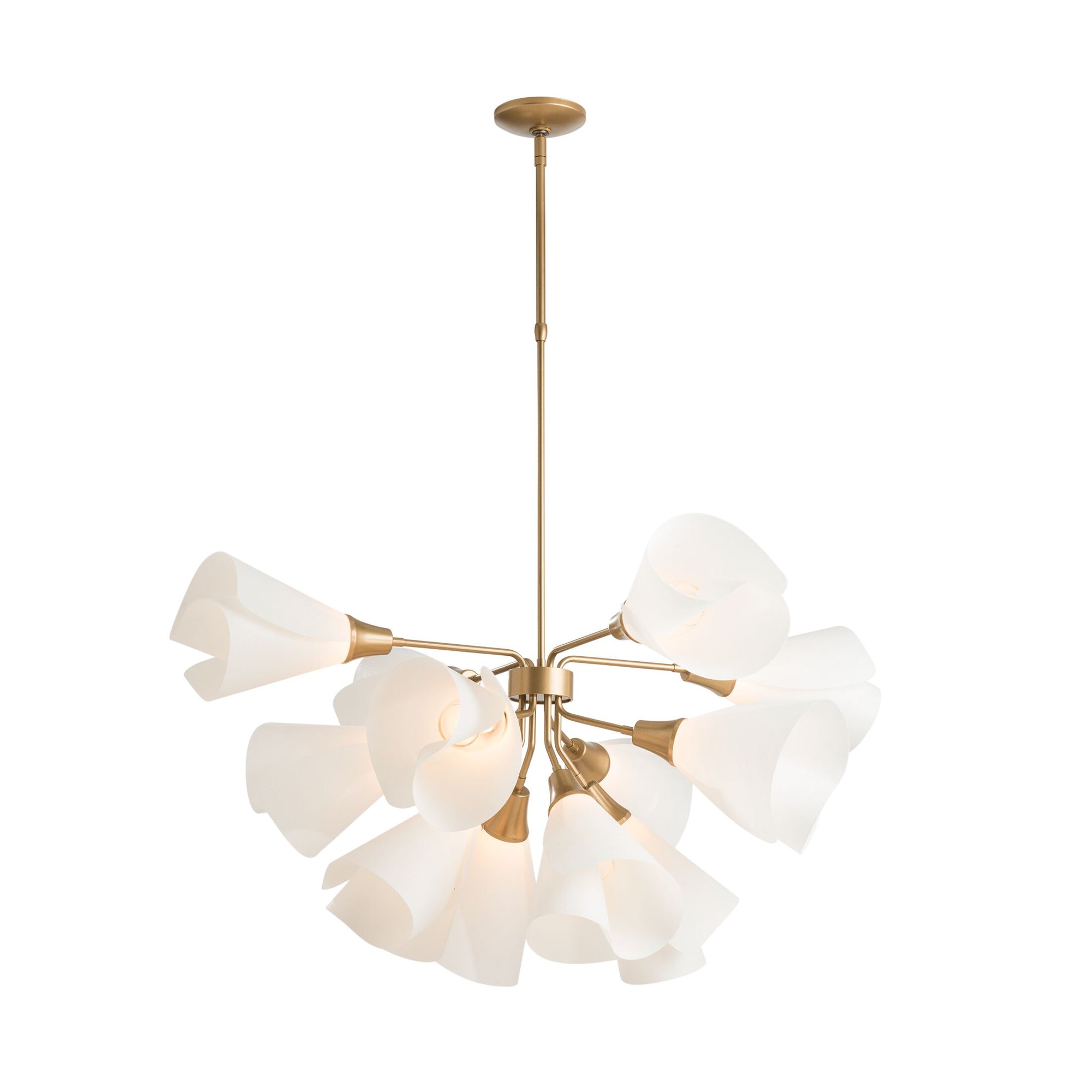 Hubbardton Forge Mobius 12 Light Pendant