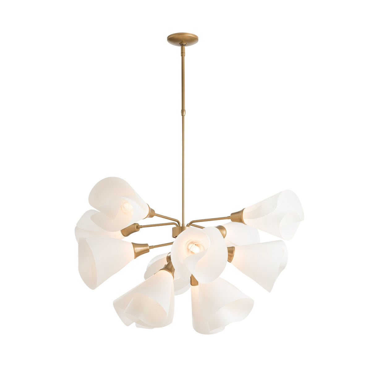 Hubbardton Forge Mobius 12 Light Pendant