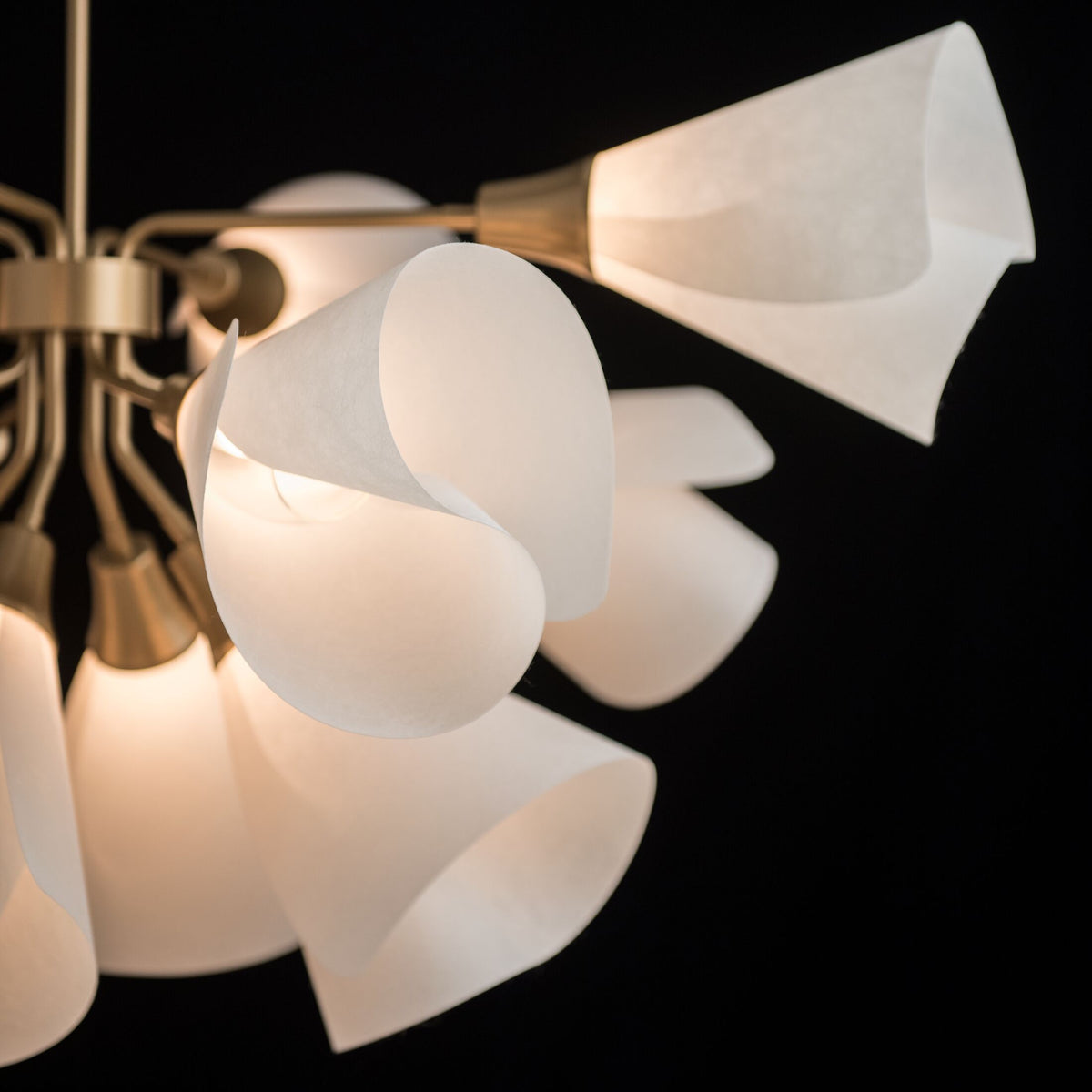 Hubbardton Forge Mobius 12 Light Pendant